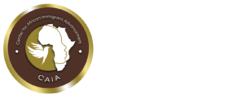 Center for African Immigrant Advancemen